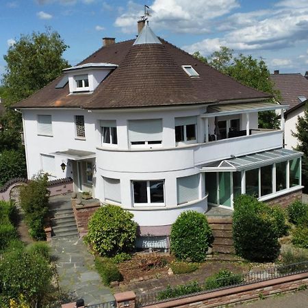 La Tour De L'Ill Villa Страсбург Екстериор снимка