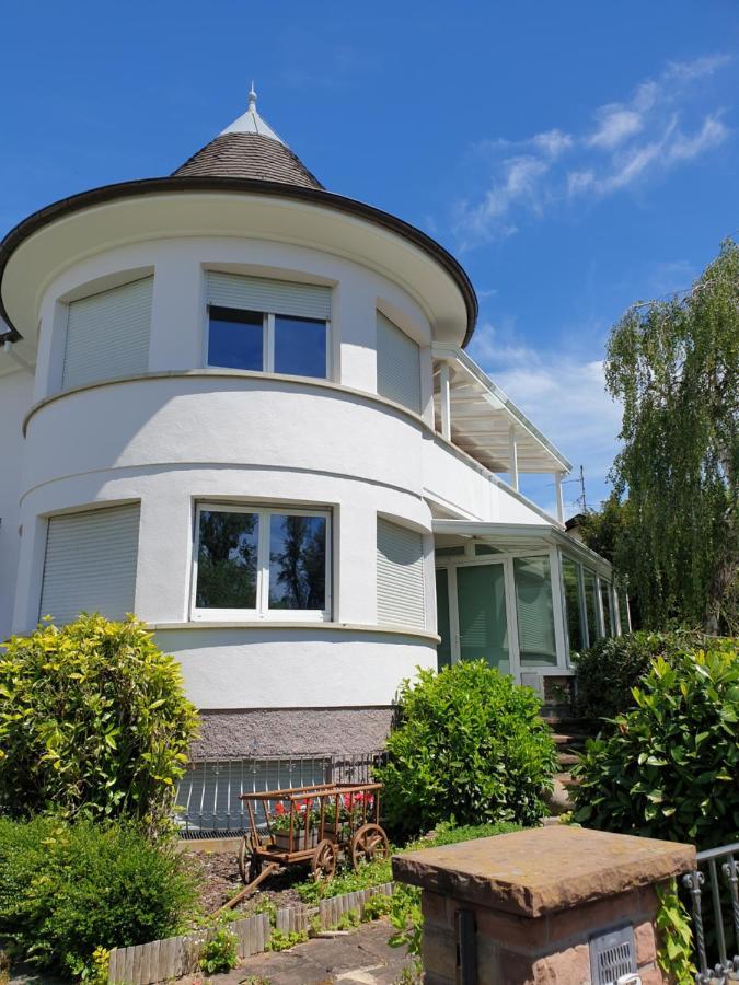 La Tour De L'Ill Villa Страсбург Екстериор снимка