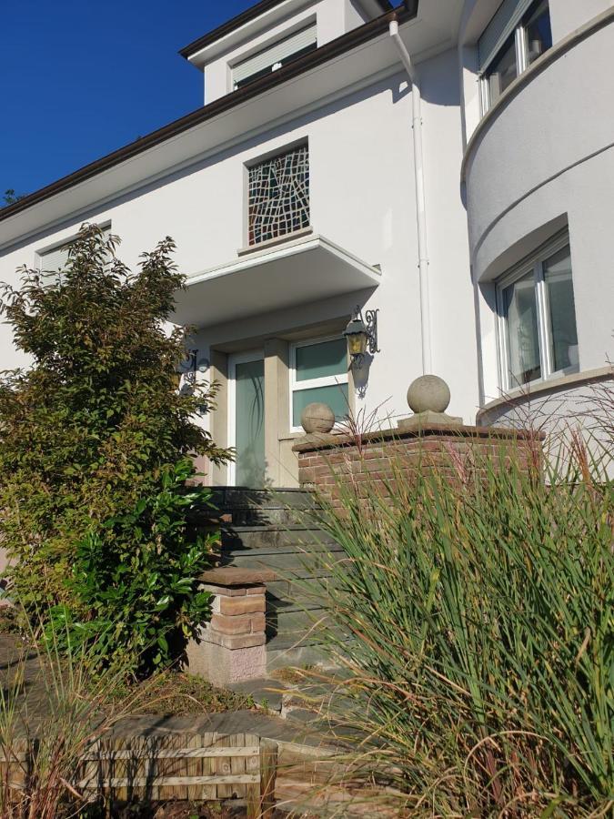 La Tour De L'Ill Villa Страсбург Екстериор снимка